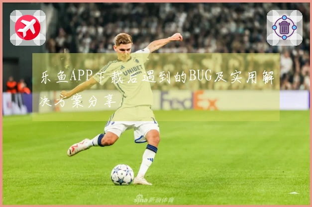 乐鱼APP下载后遇到的BUG及实用解决方案分享