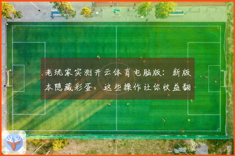 老玩家实测开云体育电脑版：新版本隐藏彩蛋，这些操作让你收益翻倍！